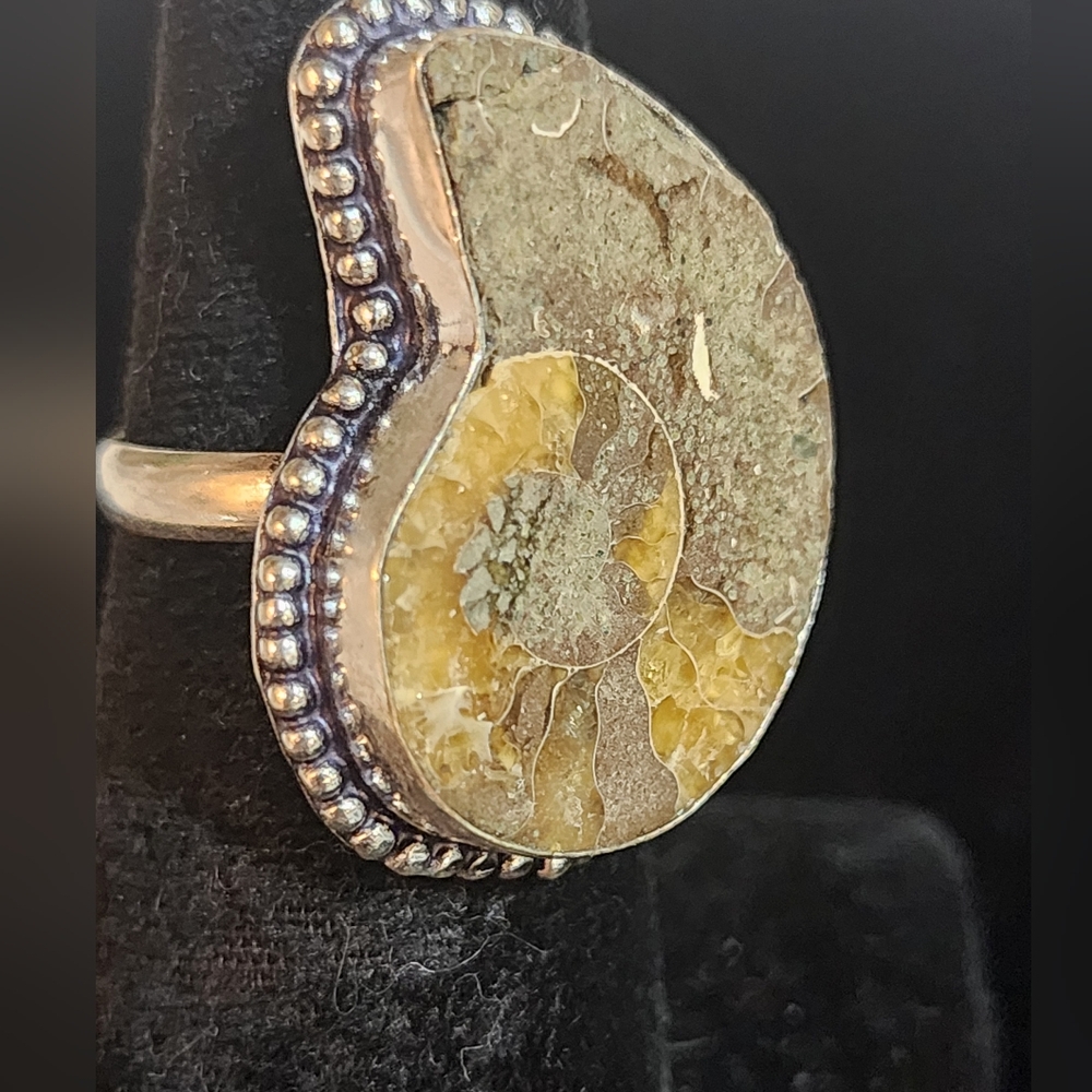 Ammonite Fossil Ring